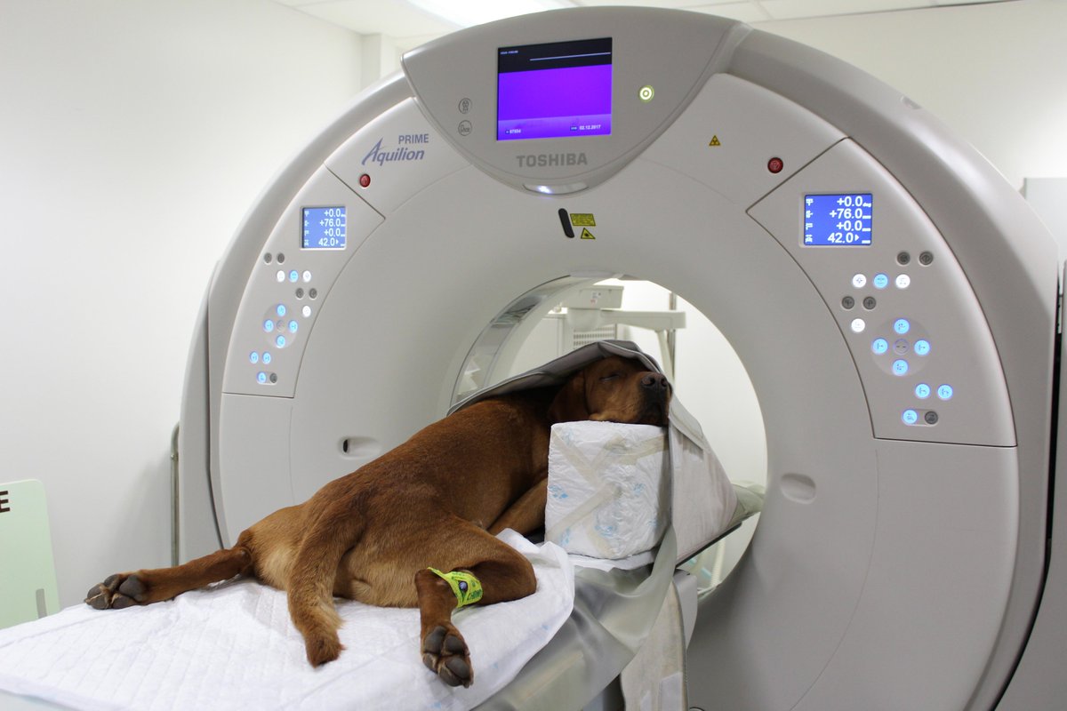 fitzpatrickref's tweet image. Did you know our state-of-the-art 160slice #CTscanner takes just seconds to gather the data we need for a swift diagnosis? The high-res images allow our clinicians to detect even the most subtle abnormalities with accuracy, giving them valuable information to help our patients.