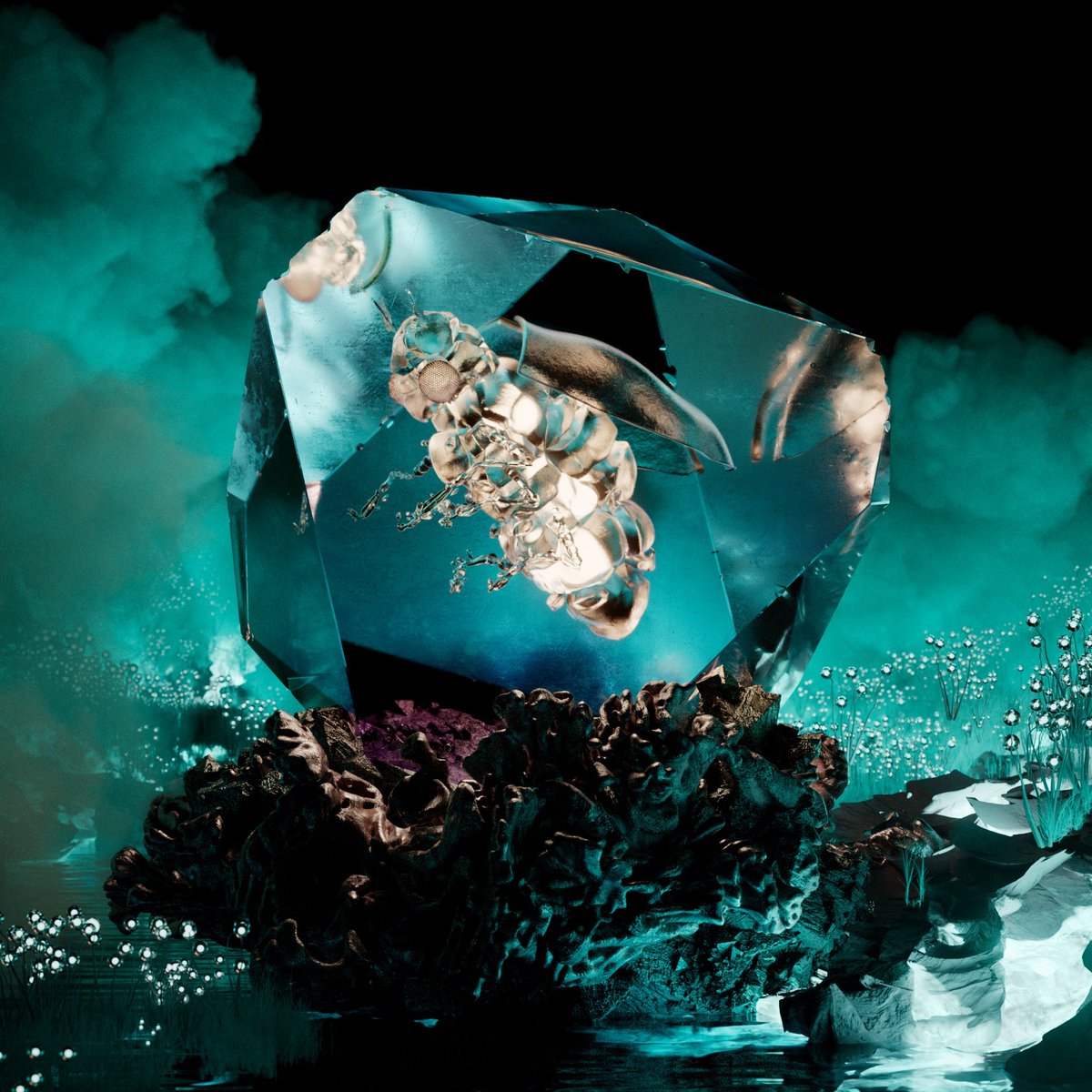 CHRYSALISM tweet media