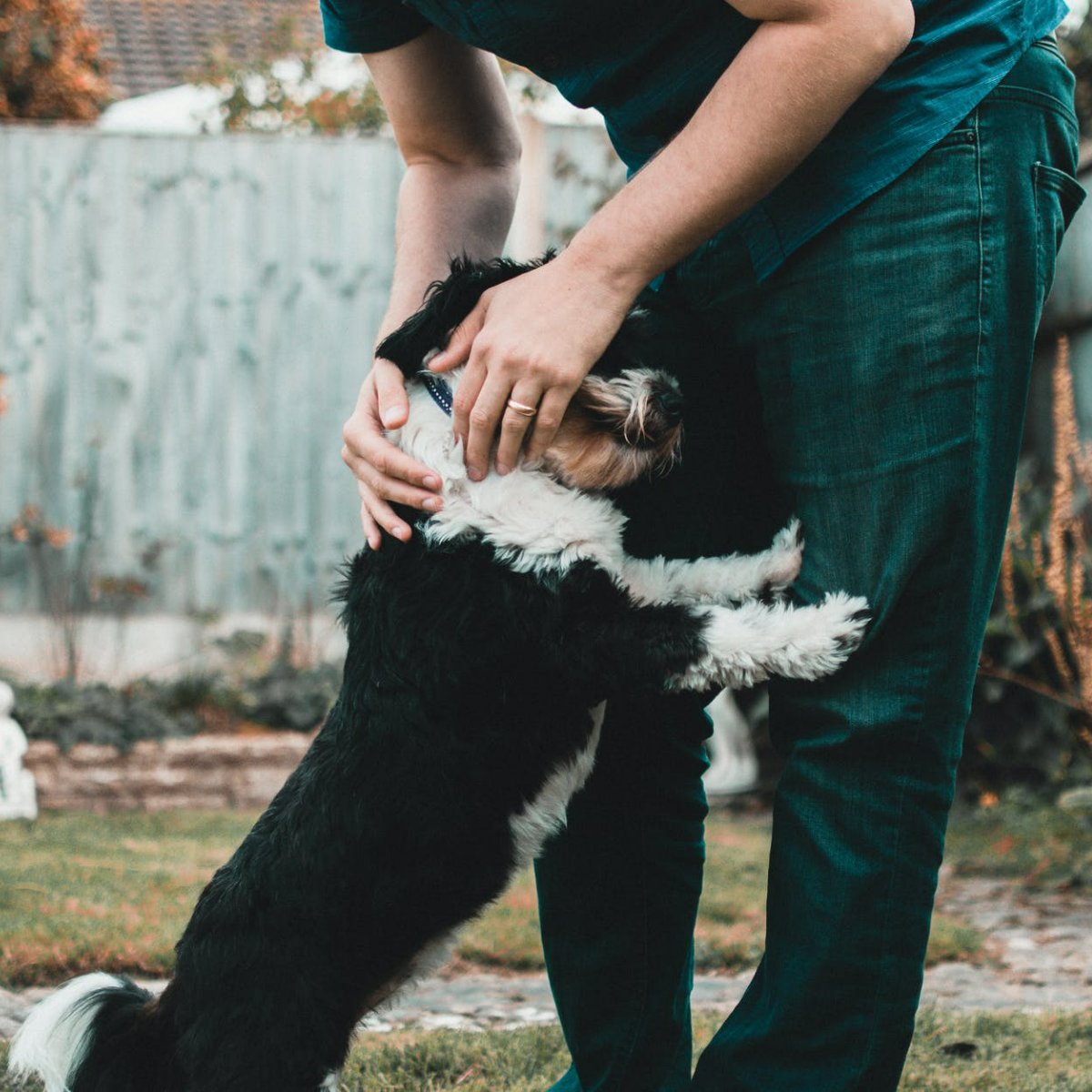 AnimalMedicIL's tweet photo. You are your pet's biggest advocate! Make sure they receive the right care by scheduling an appointment with the right team: Animal Medical Center. #VetCare https://t.co/7U6ygYZKVW