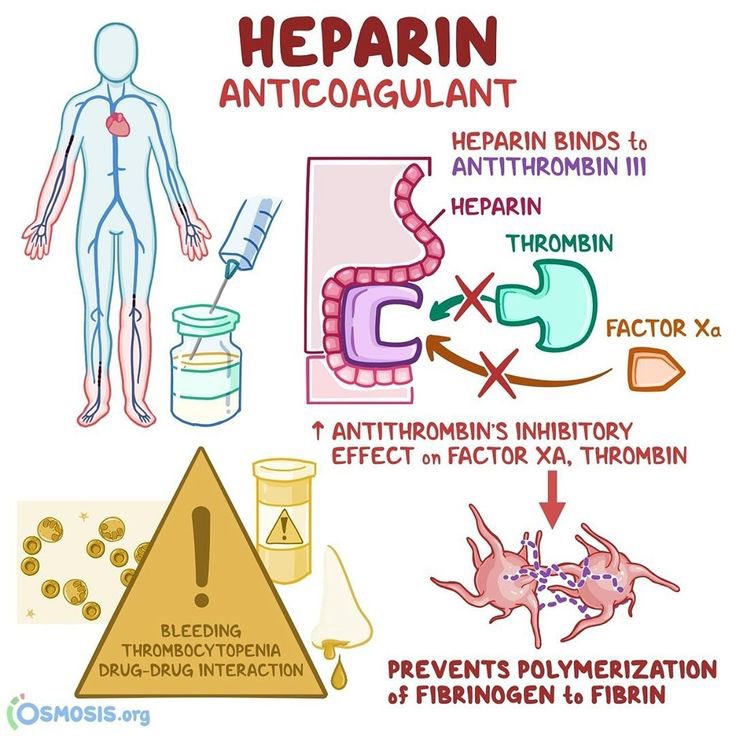 MedicalAdv's tweet photo. Difference between Heparin and warfarin

@med_712 #MedEd #MedTwitter

 https://t.co/4RrV75yZ1U