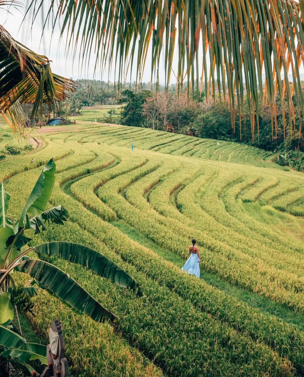 Bali, Indonesia 🇮🇩 📸: oneworldjustgo | IG