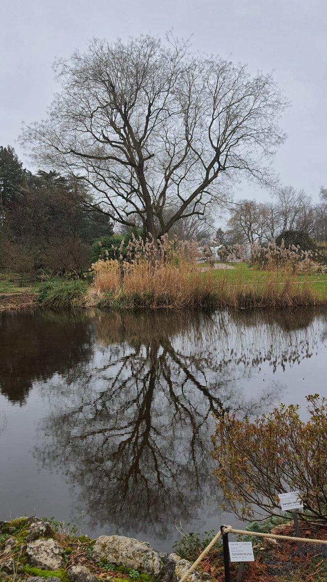 serdardurer's tweet image. Eau de Cologne yani Köln Suyu, şöyle diyeyim; kolonyanın anavatanı, Almanya’nın dördüncü büyük kenti, festival, karnaval, eğlence, bilim, sanat gibi aktivitelerin yapıldığı merkezlerden biri olarak kabul edilen Köln, çok güzel bir şehir.

#köln
#cologne 
#colognegermany