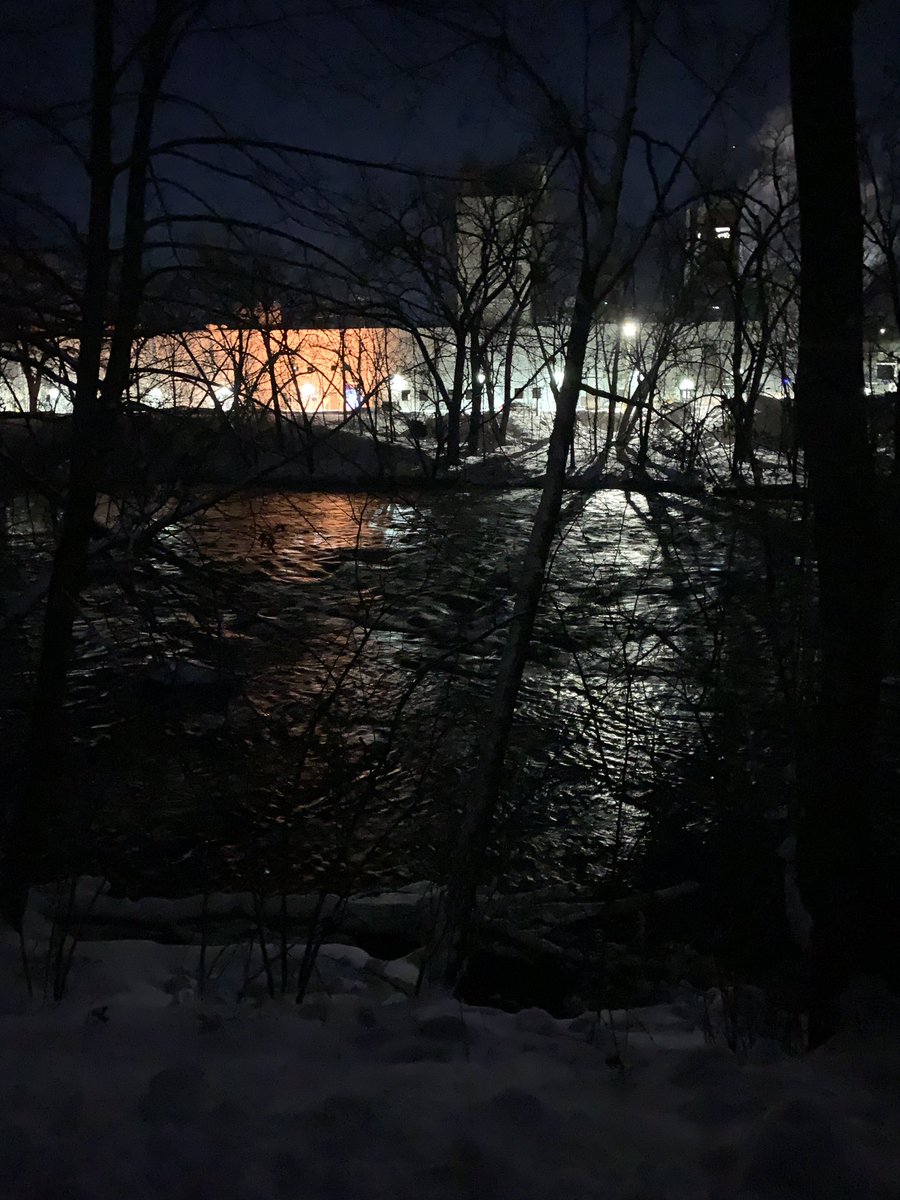 It was SO cold but it was a glorious night on the Red Cedar trail last Friday!