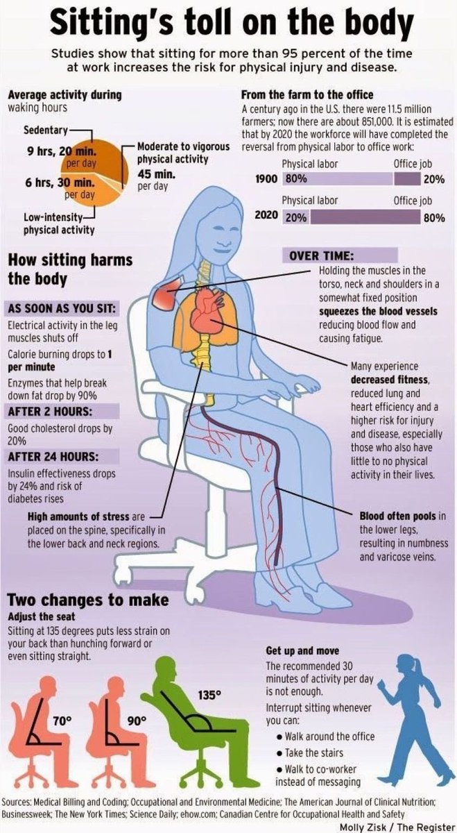 #HappyTuesday #Twitter Friends! 🏃🏽‍♀️

🦵🏽 See how sitting 💺 affects human body  🫀

<a href="/sonu_monika/">Dr. Monika Sonu I Founder Healthinnovationtoolbox</a> <a href="/mvollmer1/">Dr. Marcell Vollmer 🇺🇦 #StaySafe #CES2025</a> <a href="/Hana_ElSayyed/">Hana</a> <a href="/lyakovet/">Irene at SaugaTalks🎧🎙</a> <a href="/enilev/">Eveline Ruehlin</a> <a href="/enricomolinari/">Enrico Molinari #VivaTech2025</a> <a href="/stratorob/">Dr. Robin Kiera</a> <a href="/globaliqx/">Mike de Waal</a> <a href="/Khulood_Almani/">Dr. Khulood Almani | د.خلود المانع</a> <a href="/HeinzVHoenen/">Heinz V. Hoenen 🌻</a> <a href="/sallyeaves/">Sen. Sally Eaves</a> <a href="/RagusoSergio/">Sergio_Raguso 🌐</a> <a href="/ingliguori/">Giuliano Liguori</a>
#Infographic v/ <a href="/amanbandvi/">Aman Bandvi</a>
#Health