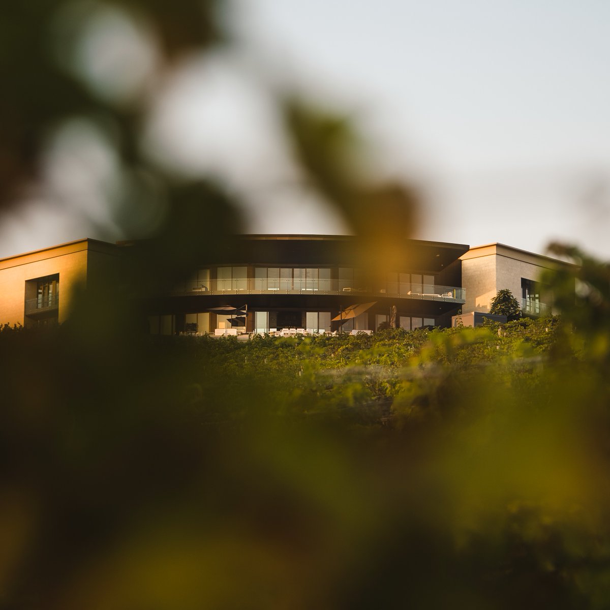 We are counting down the days until our tasting room is open again. 

Friday, February 10th, marks the first day we will reopen our tasting room. We will then be open every Friday, Saturday and Sunday. We look forward to helping you wine, dine and relax.