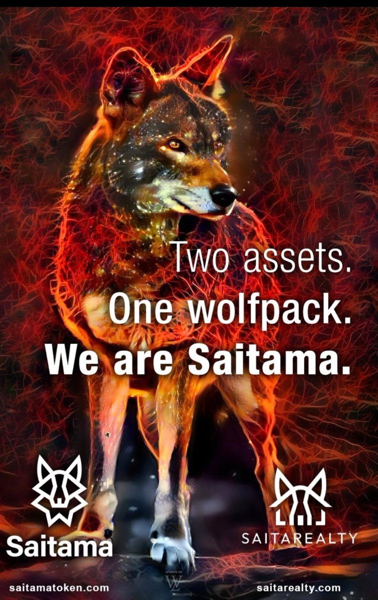 CryptoBoznaki1z's tweet photo. @WeAreSaitama @Saita_Swap Woooow. LFG! #Wolfpack #Saitama #SaitaRealty 🏡🐺🔥🚀🤘👀 #Moooning! 🚀🚀🚀🚀🚀 https://t.co/qjnfJboK2Q