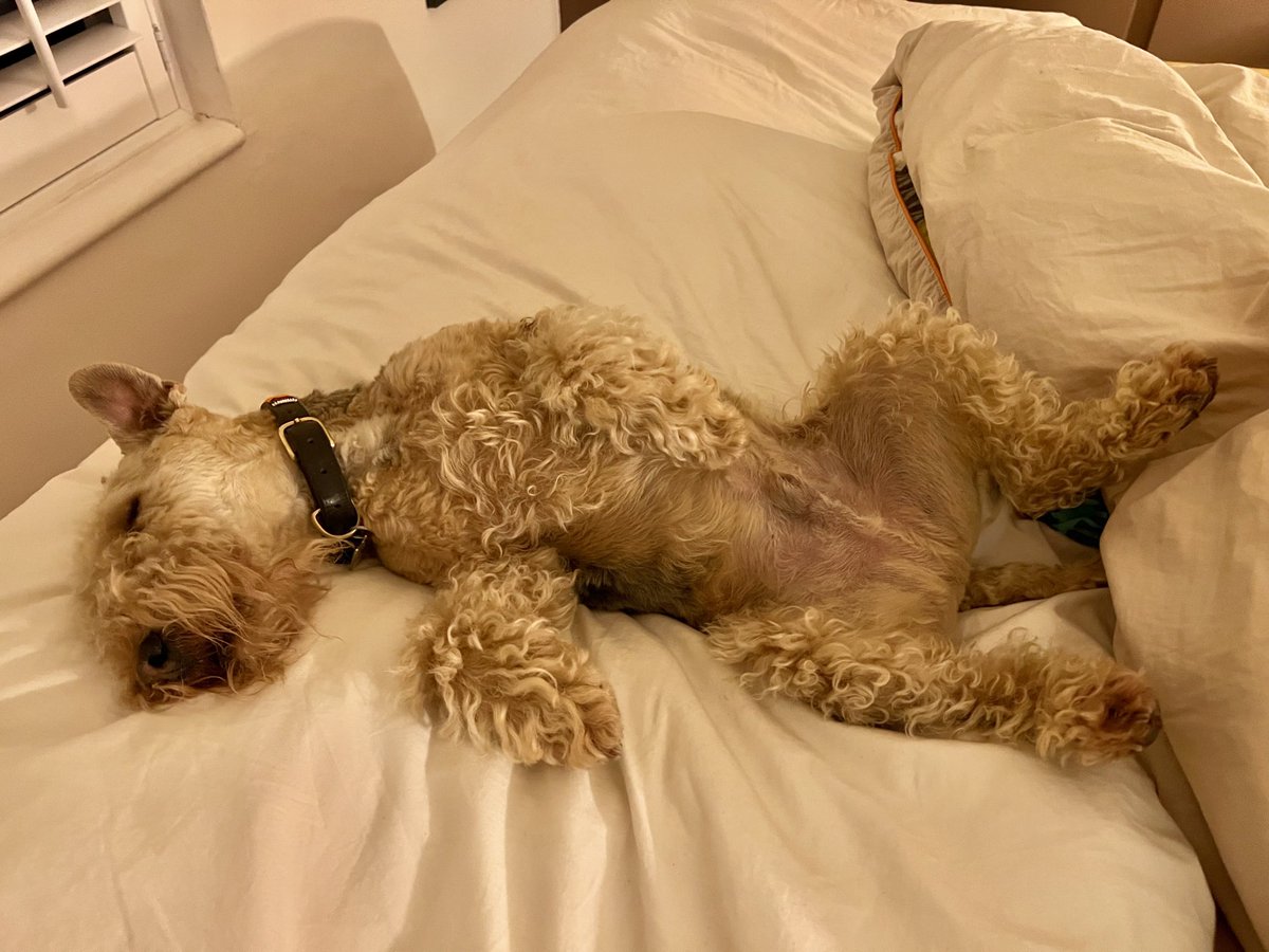 Bertie Lakeland tweet media