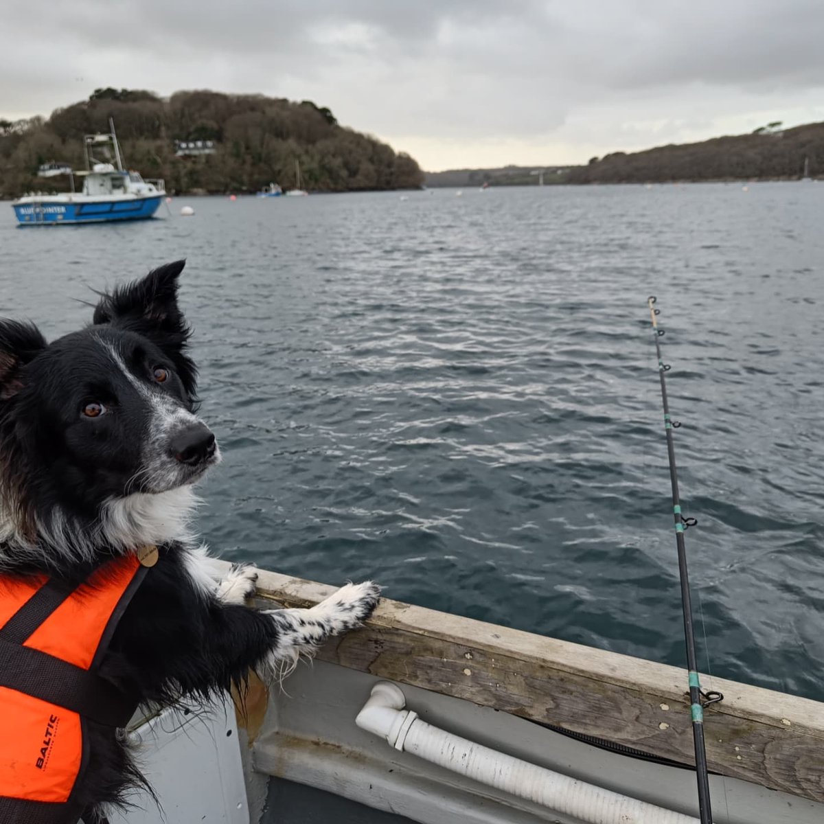 Rob Edlin tweet media