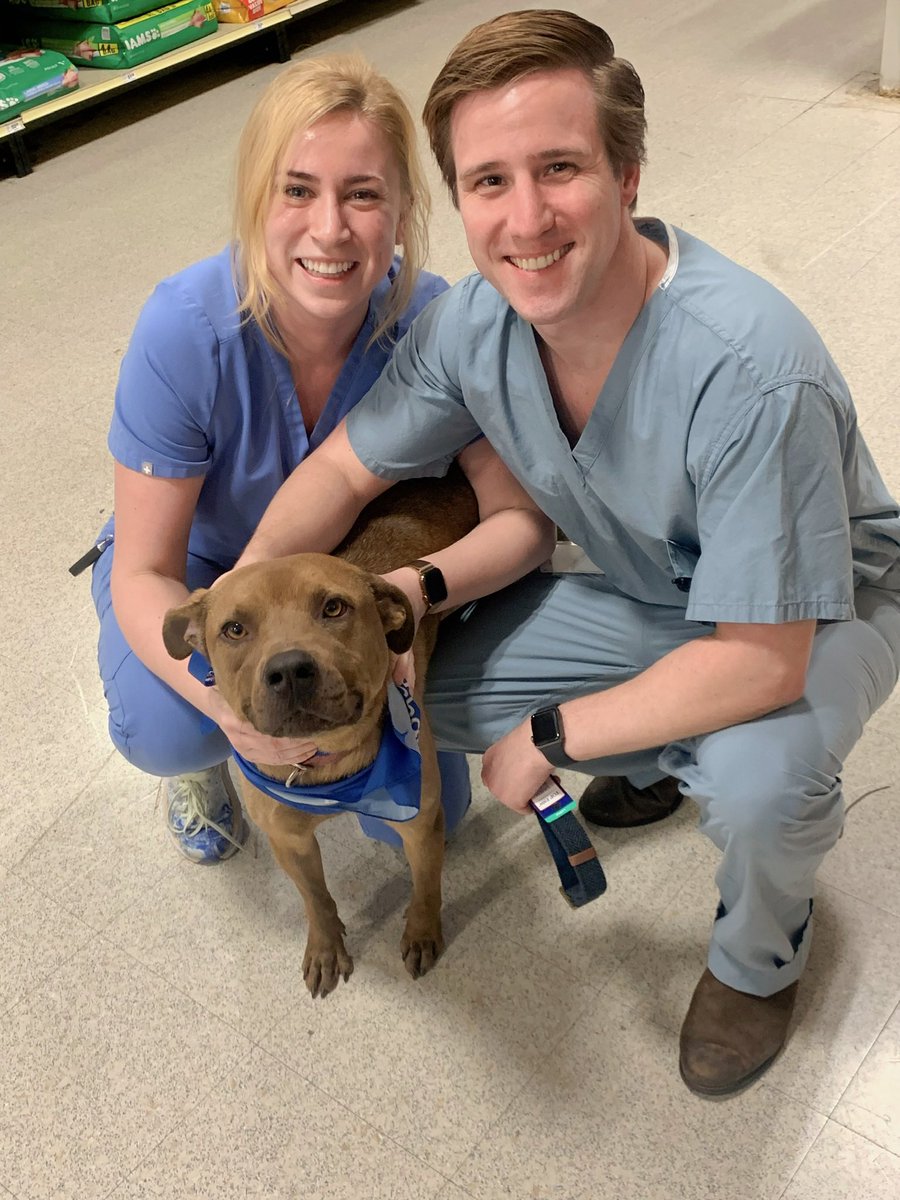 Julia Janecki, DO, MSPH tweet media