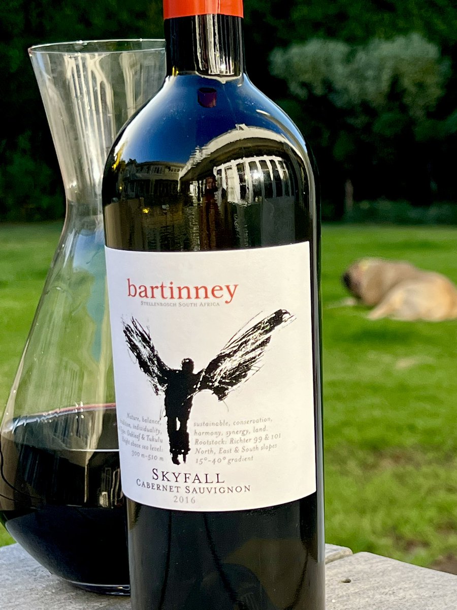 To all the wine experts who continually disregard the 2016 SA vintage (&amp; of course U may B right) I do suggest you taste <a href="/Bartinney/">Bartinney</a> Skyfall Cabernet ‘16. It’s a top drop. Still primary and offering a classic Cabernet drinking experience. Surely good for another decade🇿🇦🍷💪🏼