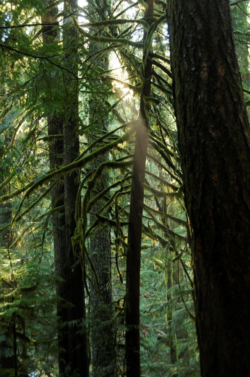 ForestServiceNW tweet picture