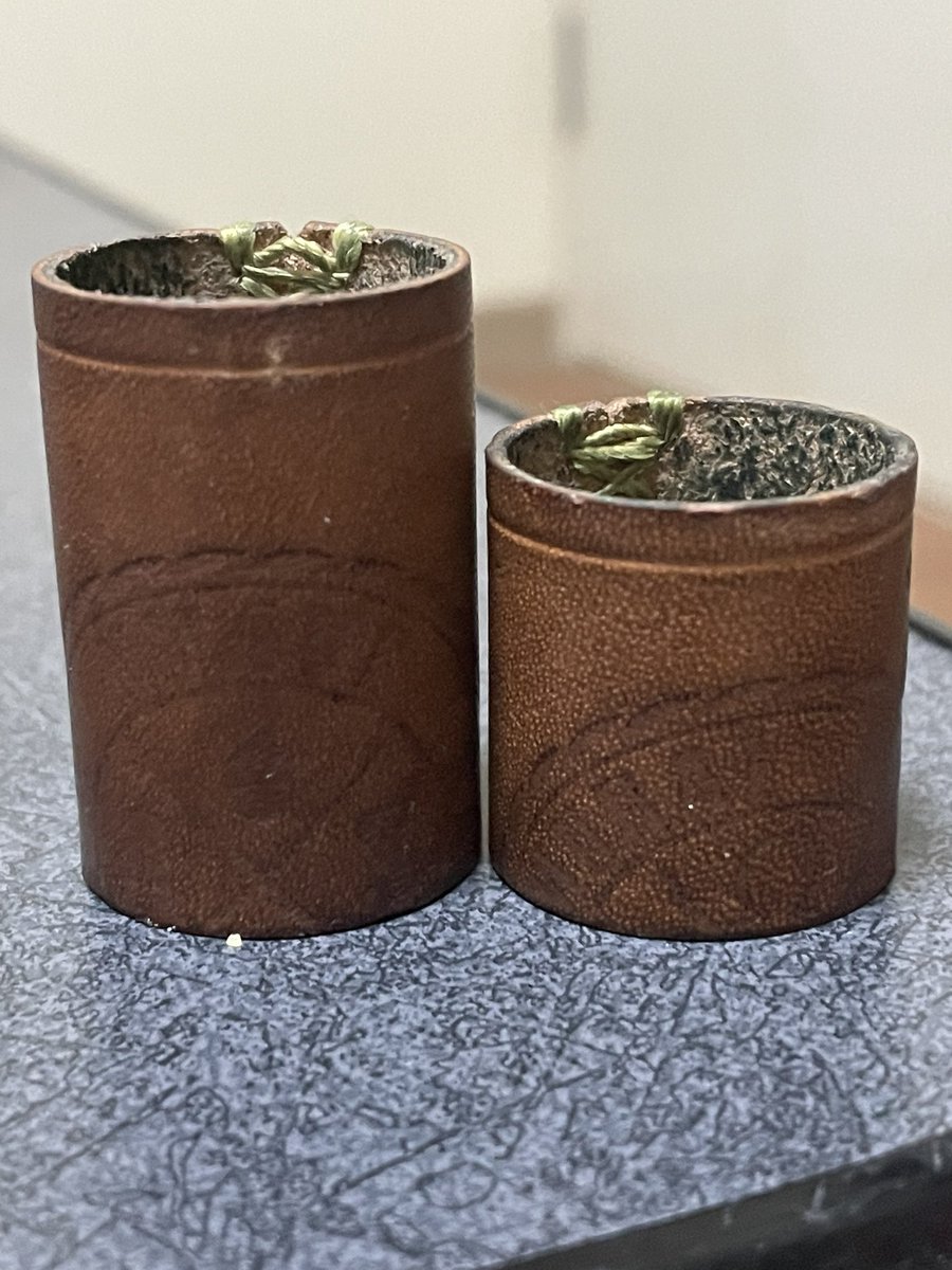 まめたん🌗vape (@mametan_vape) / Posts / X