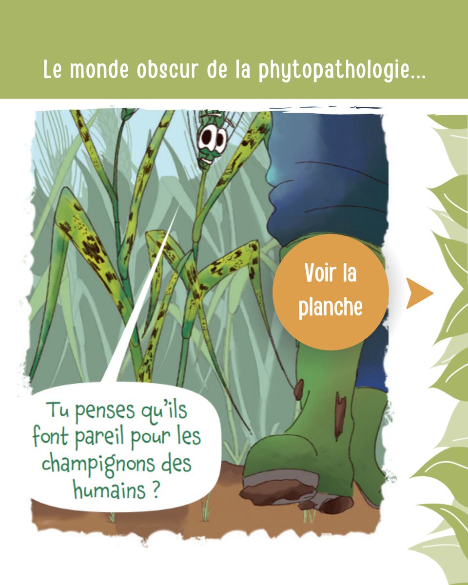 Agricomics tweet media