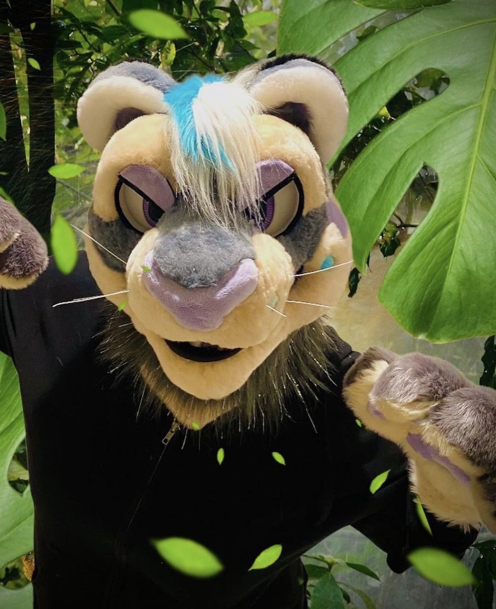 MagicMagey's tweet photo. First up is this cute snow leopard!! This suit was a collab w/ my friend @Cannibal_ish. I lined the base, made the eyes, eyelids, and tail!! She furred the head and provided the paws, which were made by another maker. 

We were asking 1️⃣9️⃣0️⃣0️⃣ but are now open for offers!! 💙 https://t.co/ljpEs6bueb