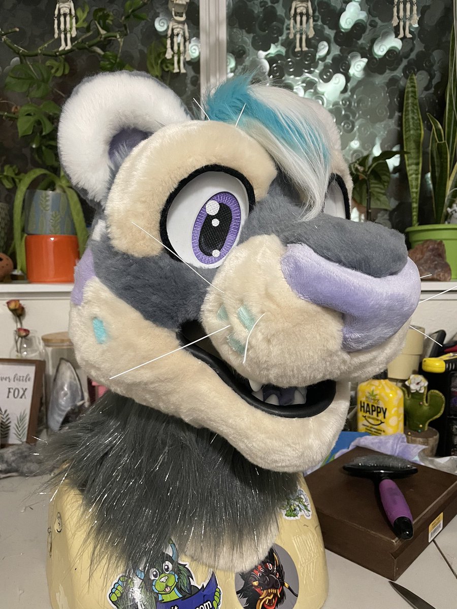 MagicMagey's tweet photo. First up is this cute snow leopard!! This suit was a collab w/ my friend @Cannibal_ish. I lined the base, made the eyes, eyelids, and tail!! She furred the head and provided the paws, which were made by another maker. 

We were asking 1️⃣9️⃣0️⃣0️⃣ but are now open for offers!! 💙 https://t.co/ljpEs6bueb