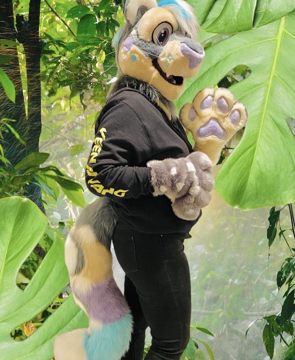 MagicMagey's tweet photo. First up is this cute snow leopard!! This suit was a collab w/ my friend @Cannibal_ish. I lined the base, made the eyes, eyelids, and tail!! She furred the head and provided the paws, which were made by another maker. 

We were asking 1️⃣9️⃣0️⃣0️⃣ but are now open for offers!! 💙 https://t.co/ljpEs6bueb