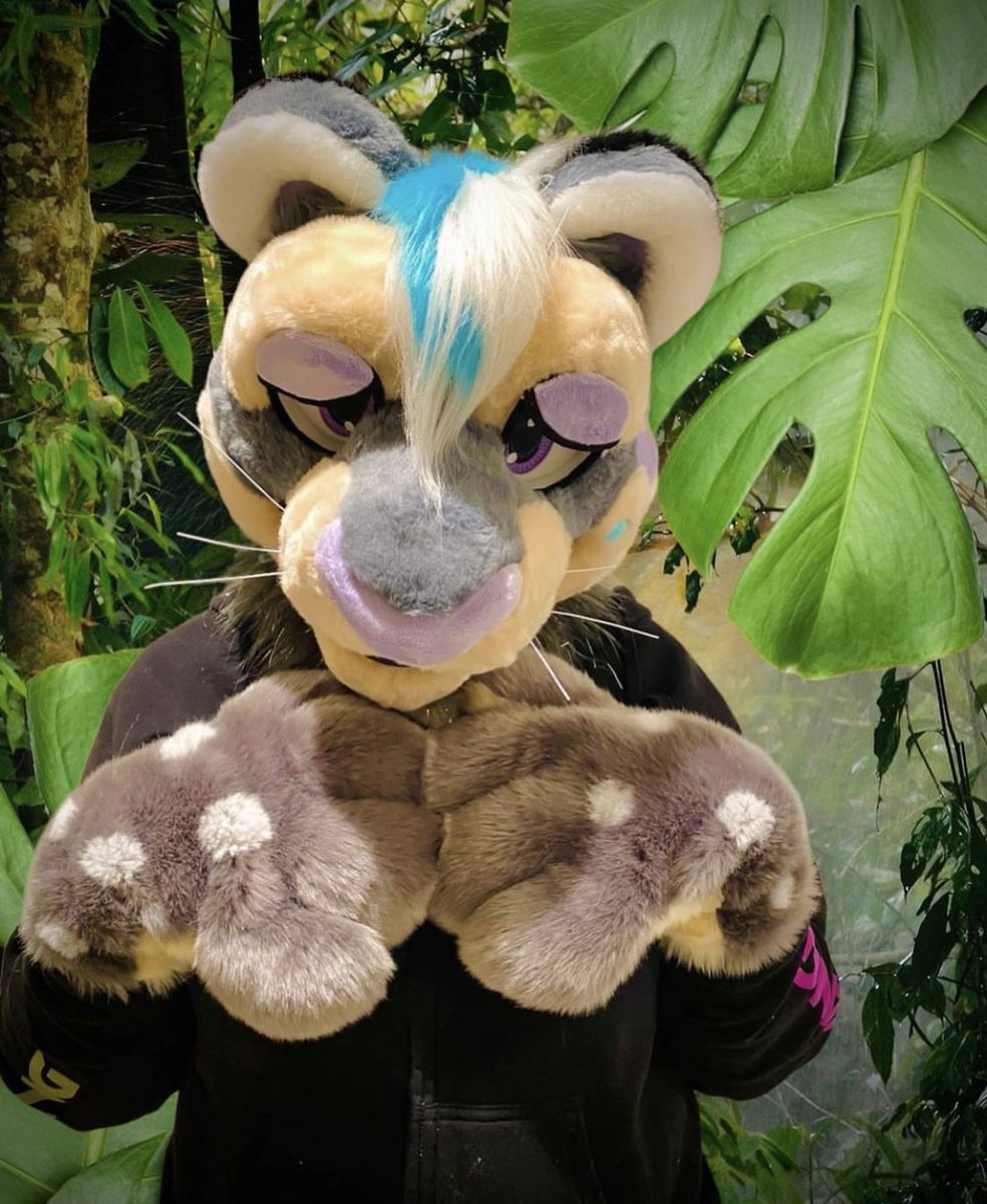 MagicMagey's tweet photo. First up is this cute snow leopard!! This suit was a collab w/ my friend @Cannibal_ish. I lined the base, made the eyes, eyelids, and tail!! She furred the head and provided the paws, which were made by another maker. 

We were asking 1️⃣9️⃣0️⃣0️⃣ but are now open for offers!! 💙 https://t.co/ljpEs6bueb