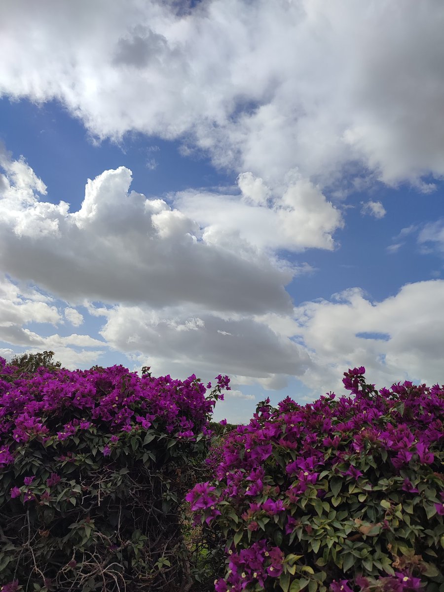 Raghdaa41320644's tweet photo. @nizvaq ☁️ https://t.co/nU5gEGwai3