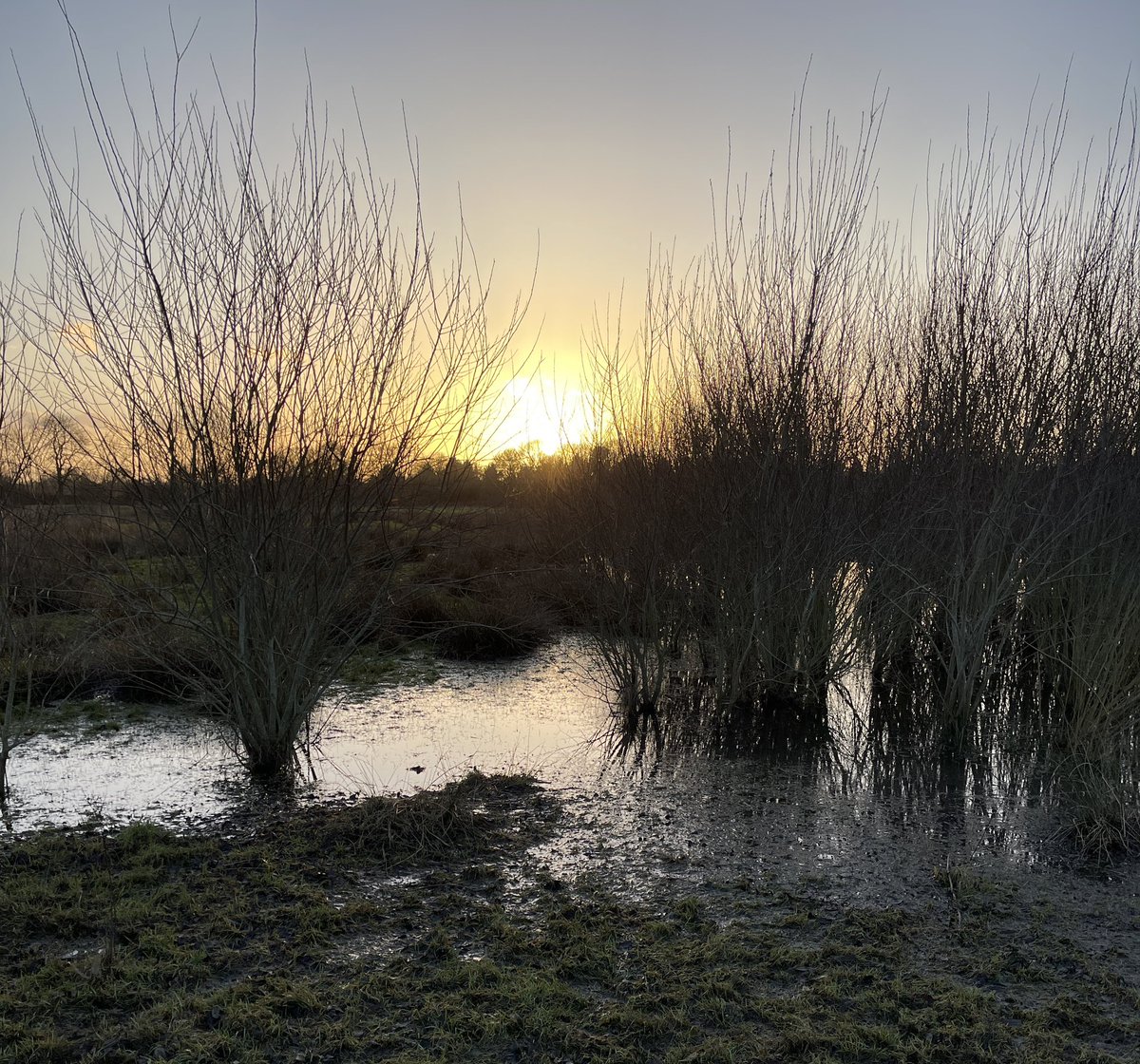 hawkino1960's tweet photo. Photos taken at #EverardsMeadows whilst I was out this afternoon.
#Leicestershire #iphonephotography #iphone12promax https://t.co/QtZ7u6BRPR