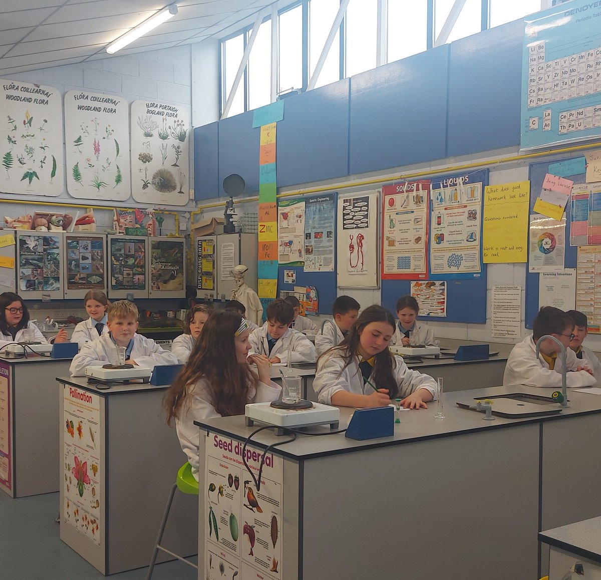 colmhuirecoed's tweet image. Lots of local 5th class pupils enjoying their secondary school experience in @colmhuirecoed today #TasterDay1 #secondlevel #community #excellenceinducation #primarytosecondary @TipperaryETB