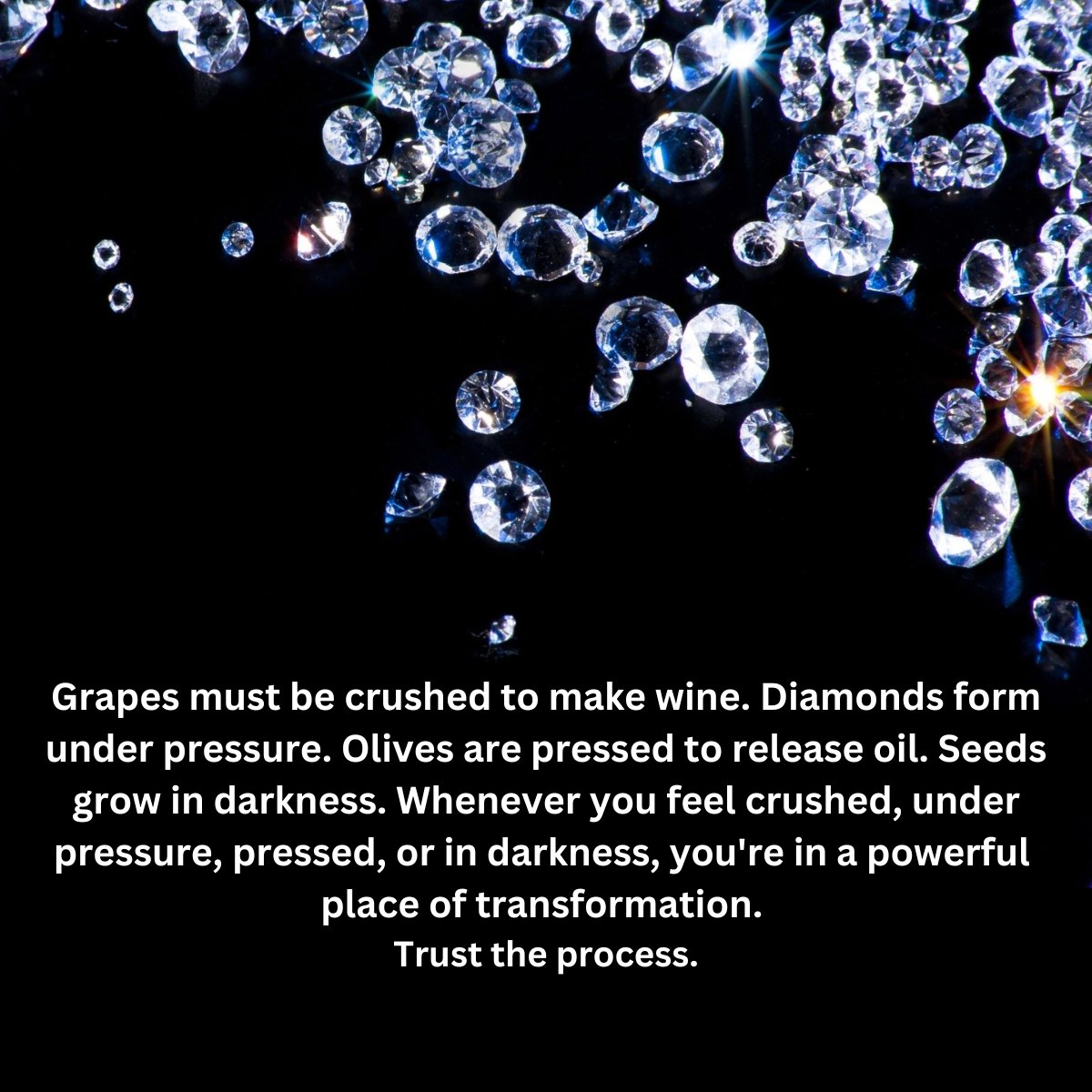 Jonathan Peach tweet media