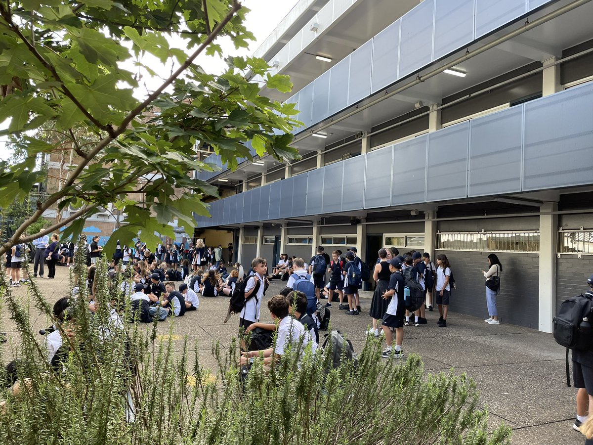 SSC_Balmain tweet media