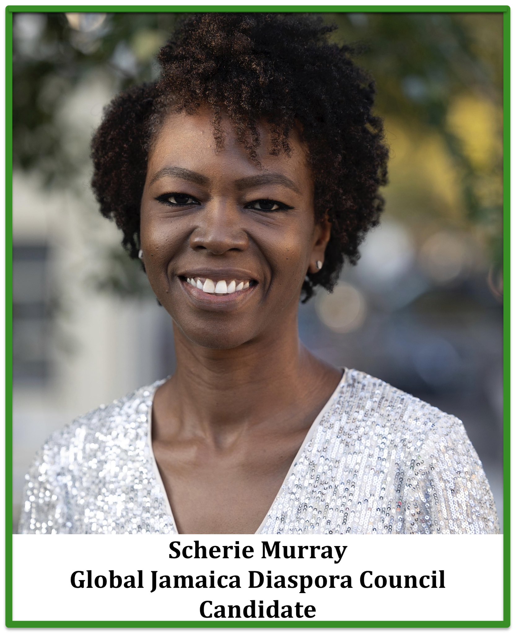 scherie murray republican