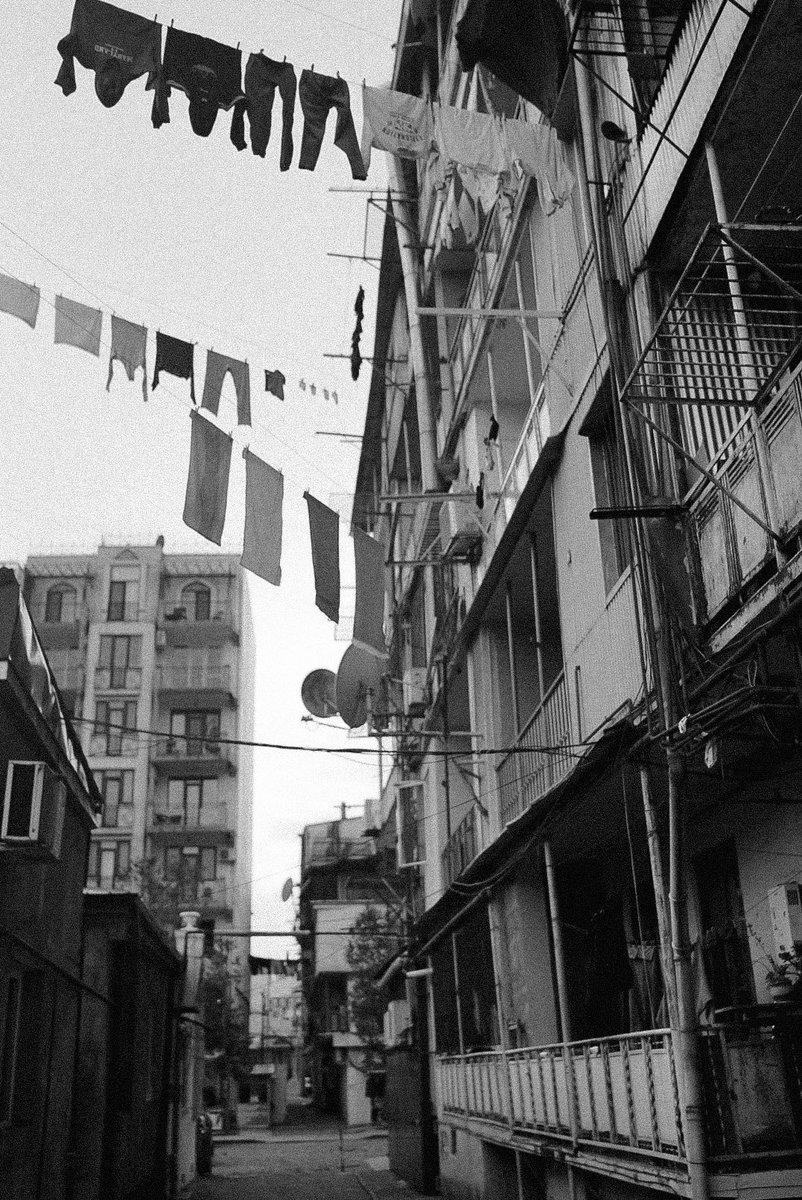 Fiolet |✖️💜 tweet media