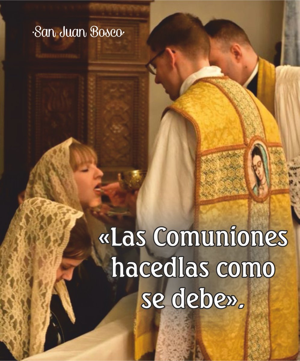 DamaCatolica's tweet photo. https://t.co/jck1qAhlaz