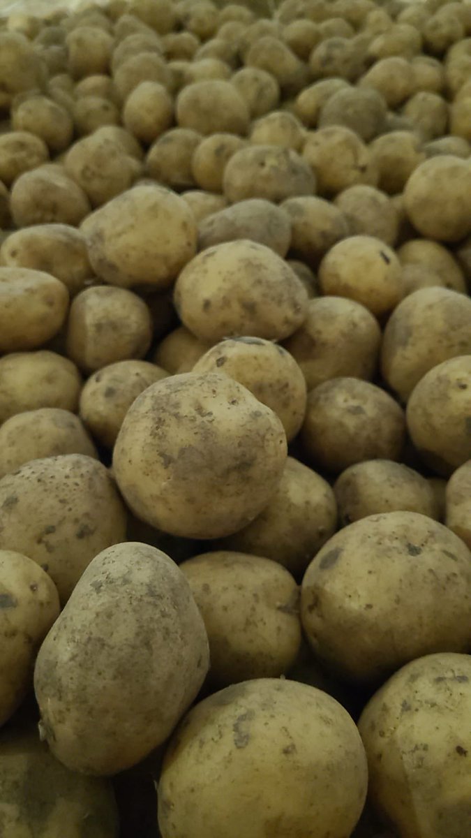 EASTERN SEED GROWERS tweet media