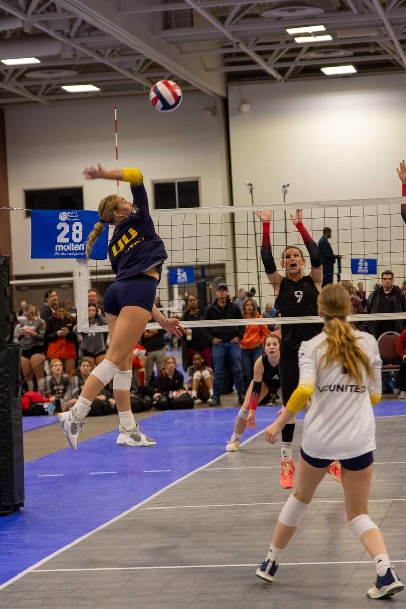 Bree Messenger tweet media