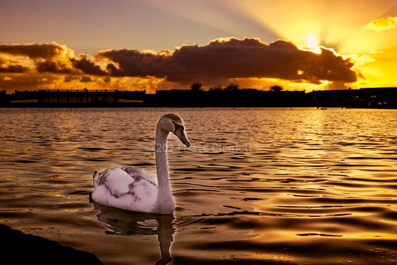 Sunset at the lake at Cold Knap Barry in the Vale of Glamorgan @BarryValeofGlam <a href="/BarryLocalNews/">Barry Local News</a> <a href="/BarryMagazine/">Barry Magazine</a> <a href="/Barrybados/">#Barrybados</a> <a href="/_BARRYISLAND_/">Barry Island ❤🏴󠁧󠁢󠁷󠁬󠁳󠁿❤ #BarryIsland</a> @PhotoWalksNPT <a href="/ExploreSWales/">Explore South Wales</a> <a href="/visitwales/">Visit Wales 🏴󠁧󠁢󠁷󠁬󠁳󠁿</a> <a href="/visitwales/">Visit Wales 🏴󠁧󠁢󠁷󠁬󠁳󠁿</a>