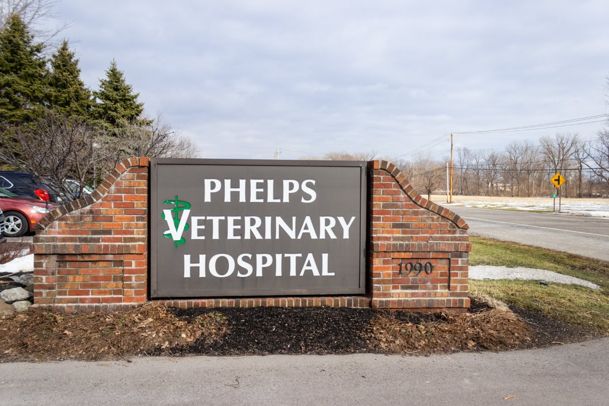 Phelps Veterinary Hospital tweet media