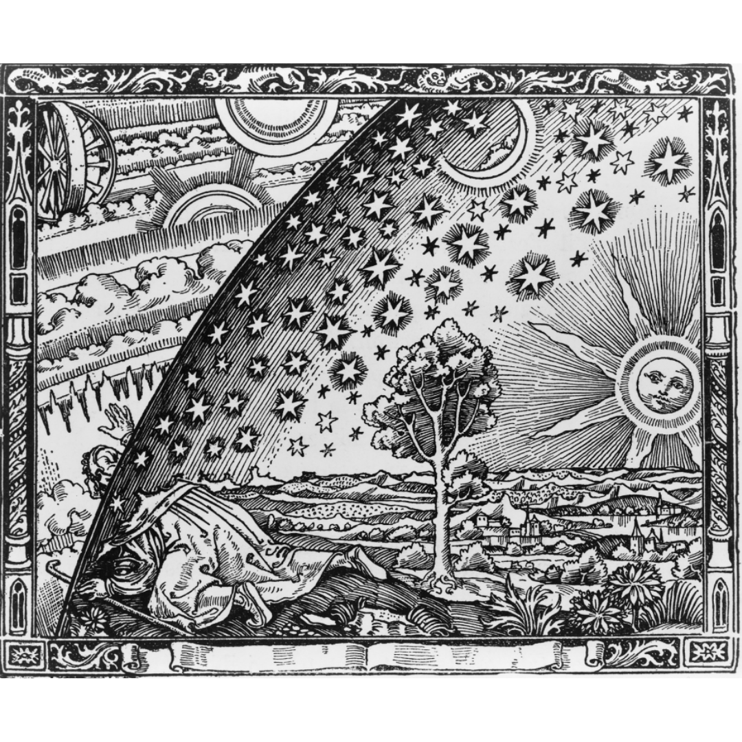 American Modern Opera Company tweet media