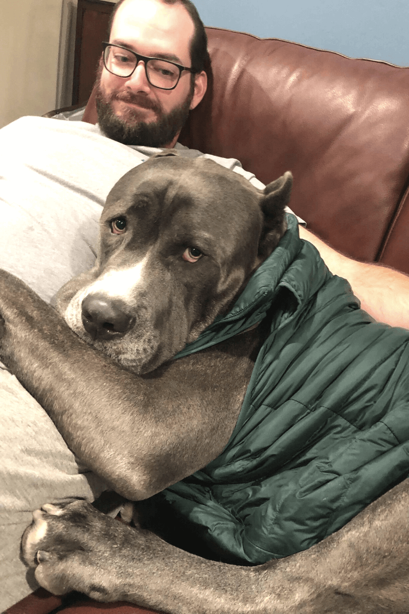 PetsforPatriots's tweet photo. Lawrence is a man who tends to keep to himself. That all changed when the @USMC veteran rescued a 140+ lb dog who loves dressing up in people clothes + going to parties. Great match thru our partners @sdhumane > https://t.co/7VwsXM3X1C https://t.co/QY4H7yA6fd