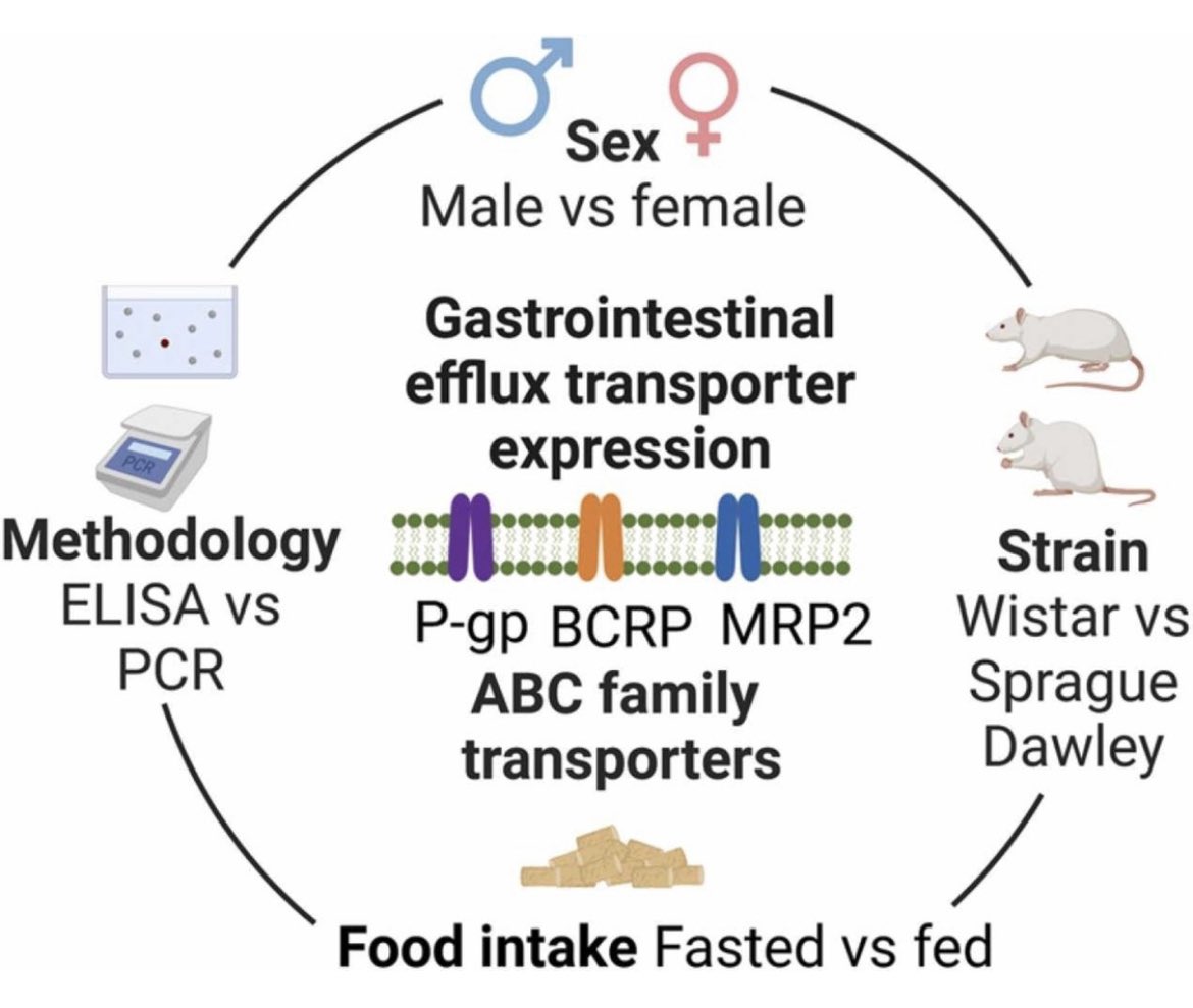 Francesca Gavins tweet media