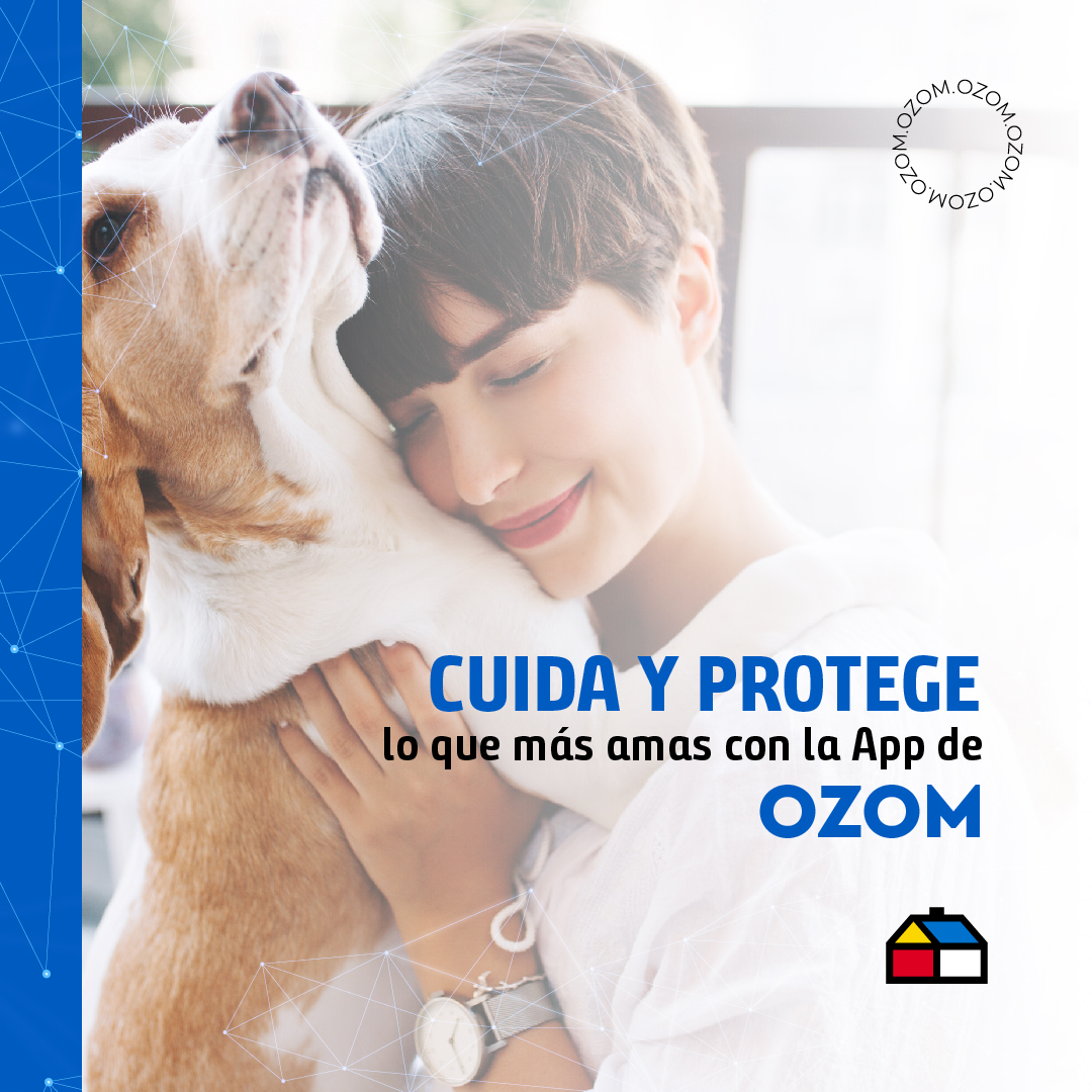 Homecenter_co's tweet photo. La vida secreta de tu mascota ya no será un misterio 🐱🐶. Cuida lo que más amas con la APP de Ozom 2.0 --> https://t.co/n6DjjYvNfd 🏠📹🔐. Descubre esta aplicación y ten una Smart Home con nosotros.
#Homecenter #Ozom #Mascotas https://t.co/GJK0Ks4rYL