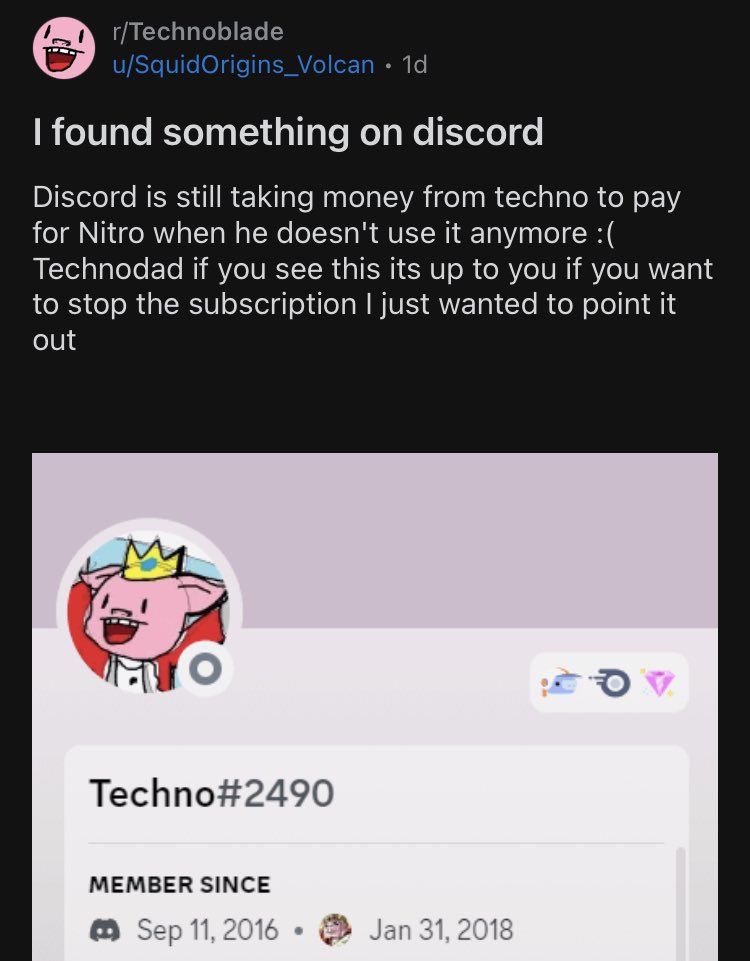 This Was Techno's Final Message in the Members Only Discord : r/Technoblade