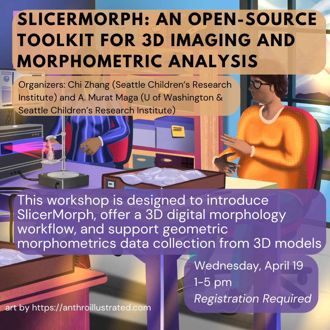 BiologicalAnth's tweet image. Are you ready for some #AABA2023 workshops??? First up: SlicerMorph: an open-source toolkit for 3D imaging and morphometric analysis. Wednesday, April 19, 1:00-5:00pm. Register here: bioanth.org/meetings-and-w…
