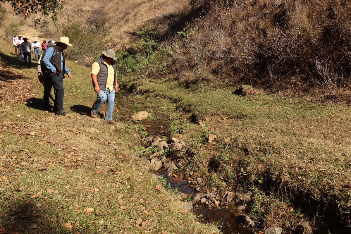 RobertoPerezD_'s tweet photo. 🚶🏽☀️ Este día integrantes del Cabildo y el Comisariado #Ejidal me acompañaron a un recorrido por El Cerrito y las faldas del polígono de Monte Albán para iniciar con el proyecto de captación de #agua. 🌦️ (1/2) https://t.co/MZlGPDAcQo