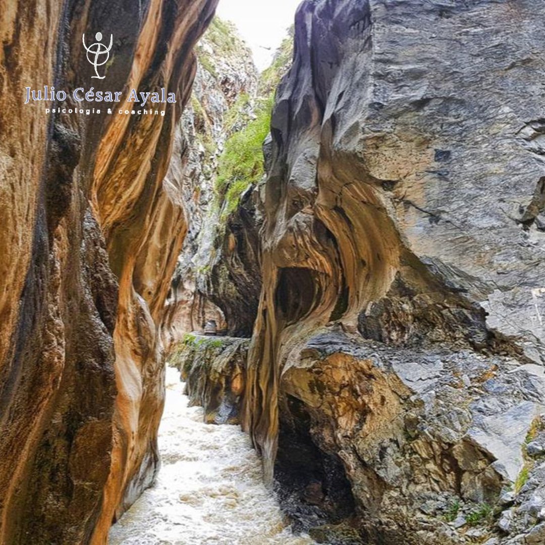 julioayala1965's tweet image. El impresionante cañón de Uchco, una gigante garganta "pétrea" de aproximadamente 200 metros de extensión. Este camino es paso obligado para ir de Nor Yauyos a Huancayo.
#peru🇵🇪 #paisajesperu #goperu #goodvibes #greatday #adventure #amazing #Alis #Yauyos #Lima #naturephotography