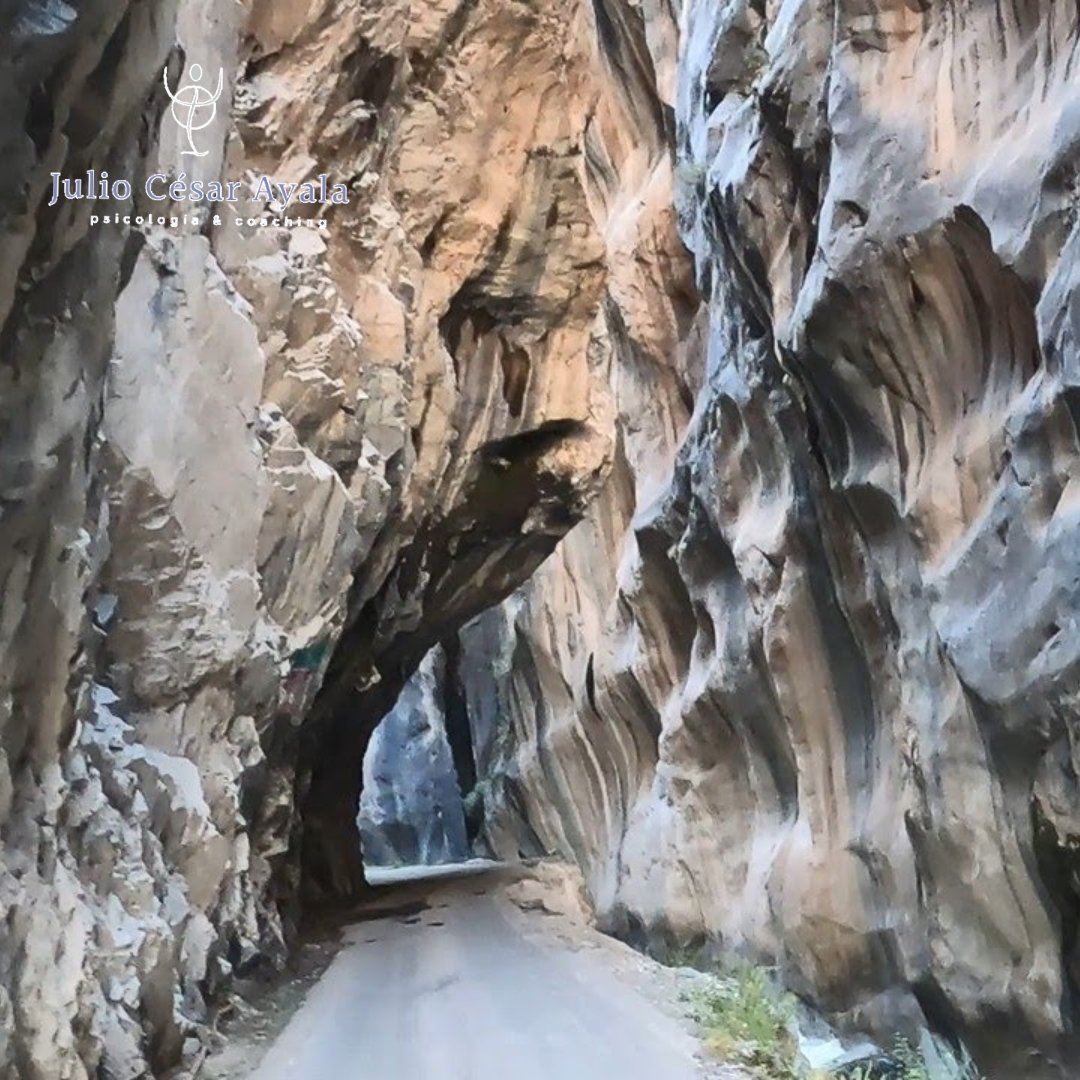 julioayala1965's tweet image. El impresionante cañón de Uchco, una gigante garganta "pétrea" de aproximadamente 200 metros de extensión. Este camino es paso obligado para ir de Nor Yauyos a Huancayo.
#peru🇵🇪 #paisajesperu #goperu #goodvibes #greatday #adventure #amazing #Alis #Yauyos #Lima #naturephotography