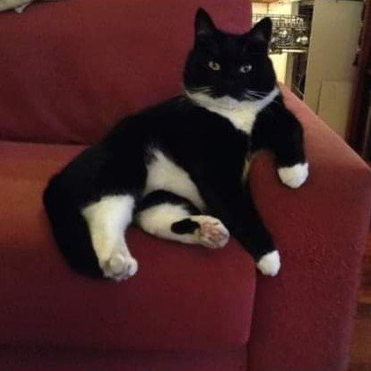 weaverHG's tweet photo. @michaelscat2 @drstip Jack https://t.co/xg0knkiH3d