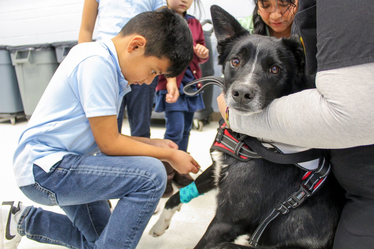 Guadalupe School tweet media