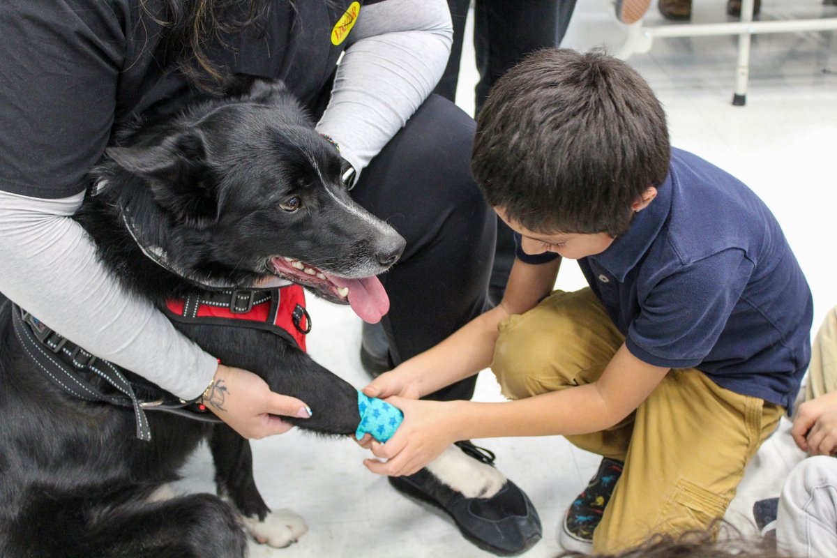 Guadalupe School tweet media