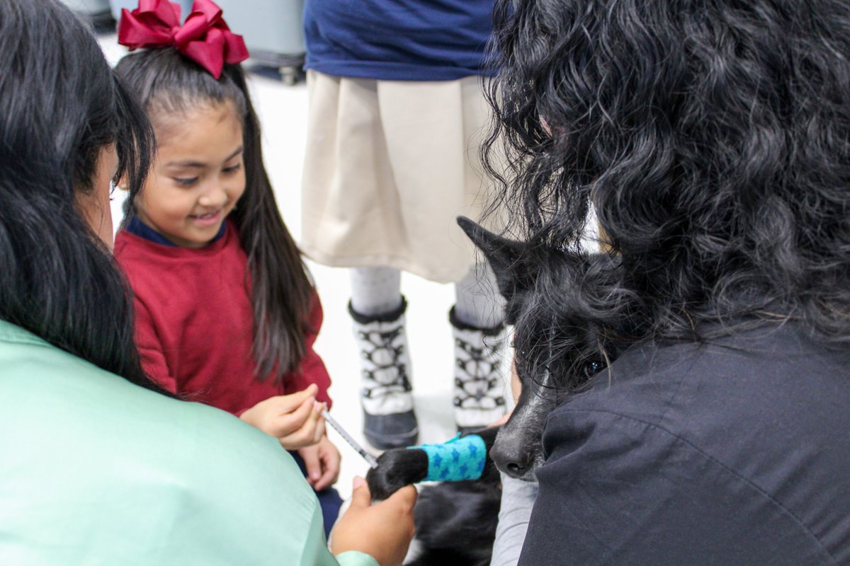 Veterinarians in training! 🐶🩺 Our students were visited by a veterinary technician who taught them about the responsibilities &amp; compassion needed to become a veterinarian. This was a great opportunity for our students to start thinking about, "what I want to be when I grow up!"