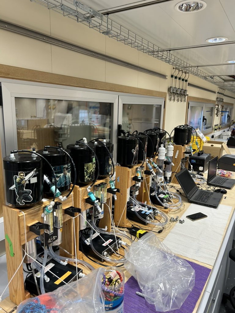 lissafriberg's tweet image. And we’re off! Busy last couple of days setting up the #SDA for science: getting the trace metal CTDs ready, cleaning the clean lab and setting up the radium detectors in the lab. Quick fuel stop in Stanley and then sailing overnight to our first CTD stop!#SDAScience @GW4plusDTP
