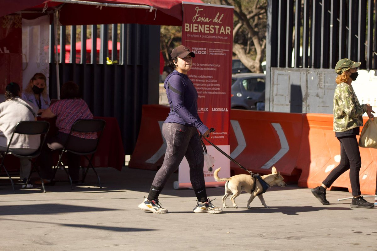 CDMX_PC_Coy's tweet photo. 📆 1 de febrero te esperamos en #ParqueCantera con #LasFeriasDelBienestar que llegan a la población de la alcaldía Coyocán con bienes, servicios, trámites y asesorías que mejoran su #bienestar.
Lo más importante es TU PARTICIPACIÓN 👏🏾. https://t.co/uz9iLHKEBp