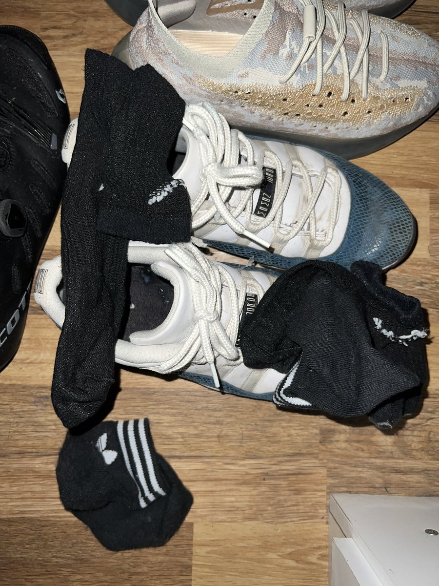 没有被驯服的象🇩🇪 tweet media