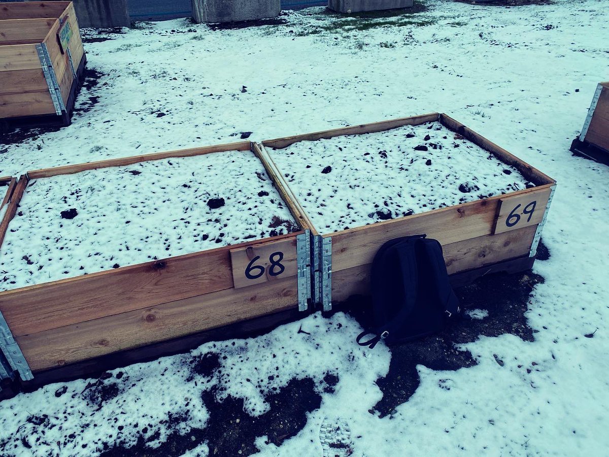 Tom Collins tweet media